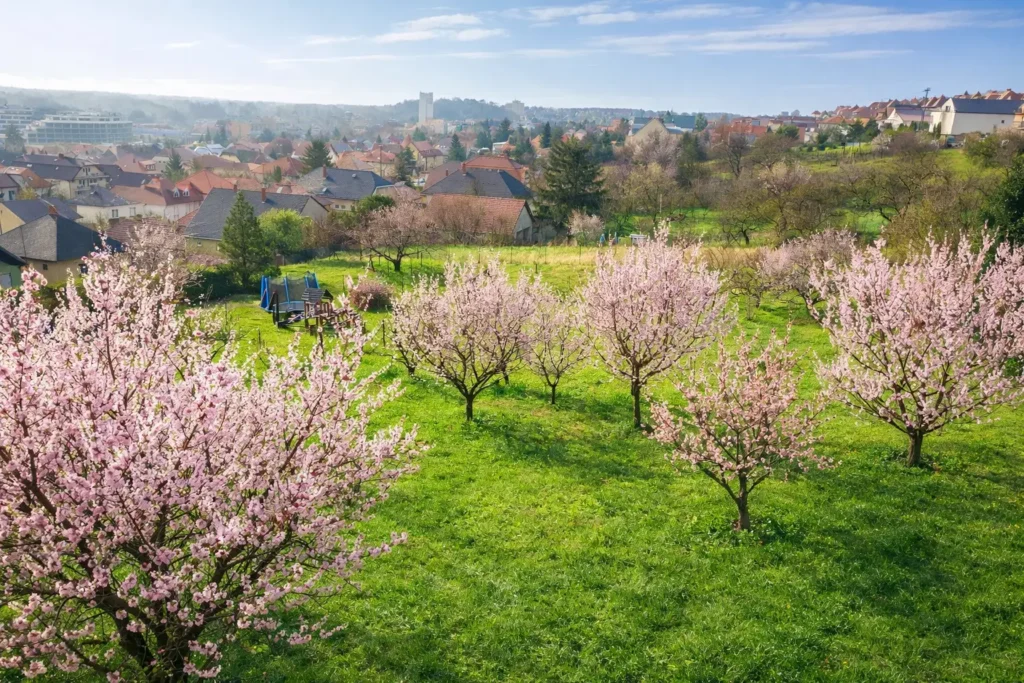 lakás a hévízi panorámára néző kilátással